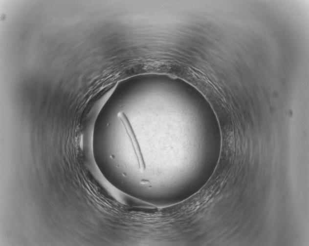 X0000086980914200704231815