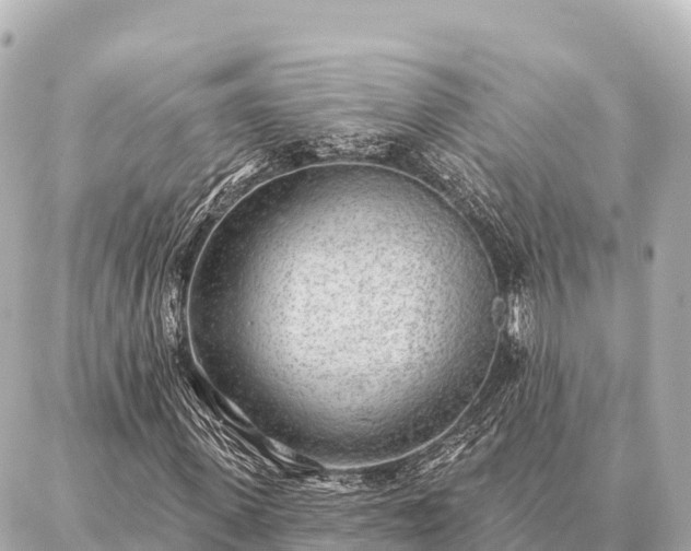 X0000086980915200704231815