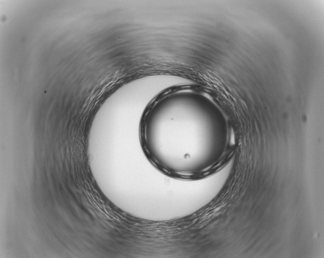 X0000086980916200704231815