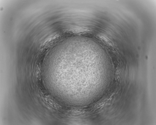 X0000086980917200704231815