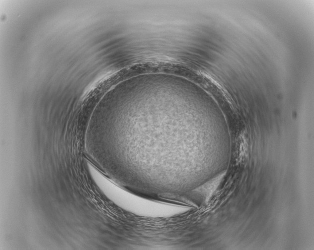 X0000086980919200704231815