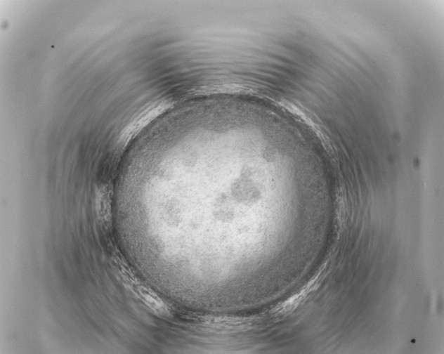 X0000086980921200704231815