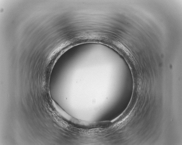 X0000086980922200704231815