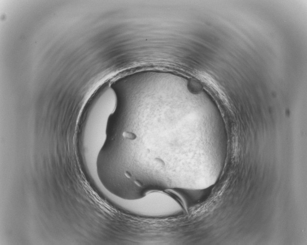 X0000086980924200704231815