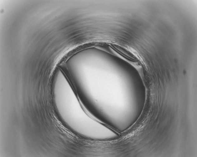 X0000086980926200704231816