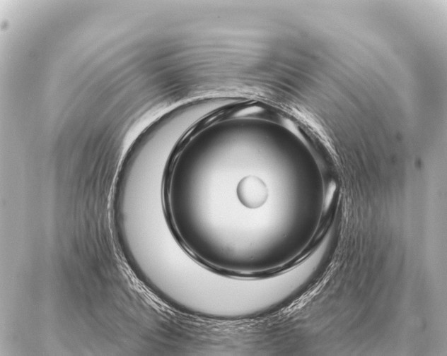 X0000086980928200704231816