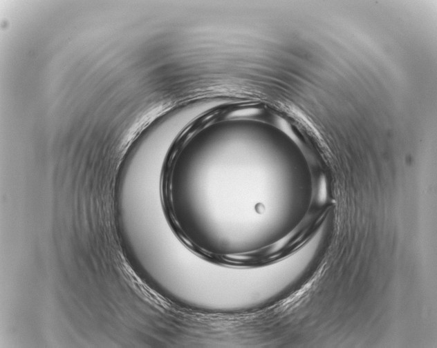 X0000086980930200704231816