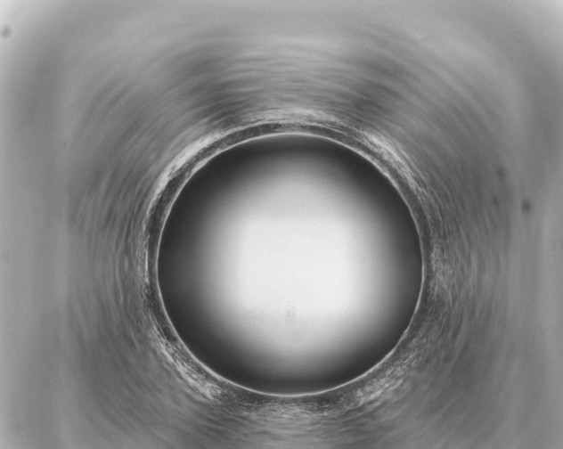 X0000086980931200704231816