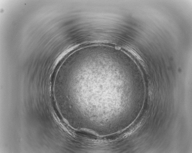 X0000086980933200704231816