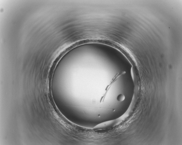 X0000086980935200704231816