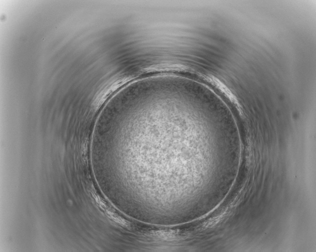 X0000086980937200704231816