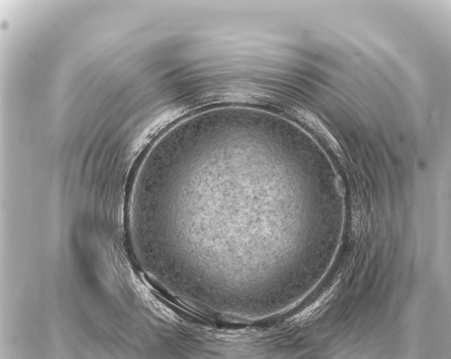 X0000086980938200704231816