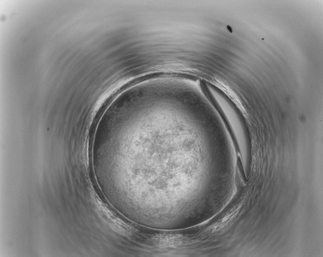 X0000086980939200704231816