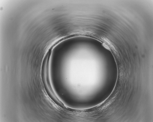 X0000086980940200704231816