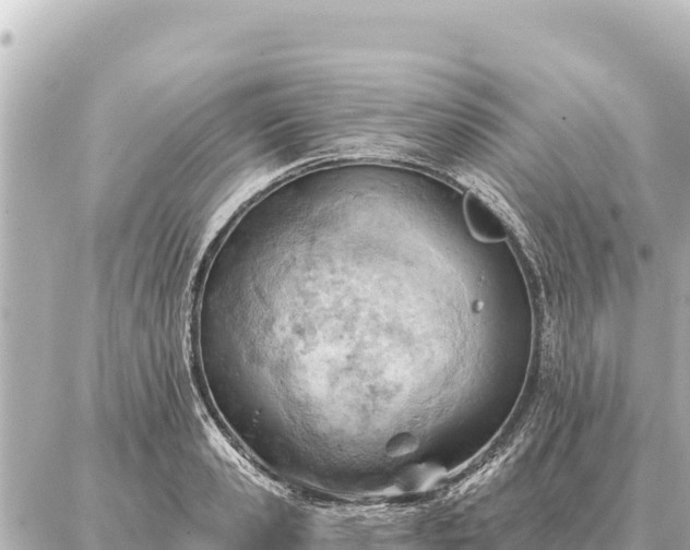 X0000086980941200704231816