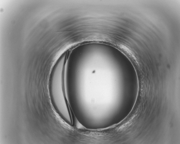 X0000086980942200704231816