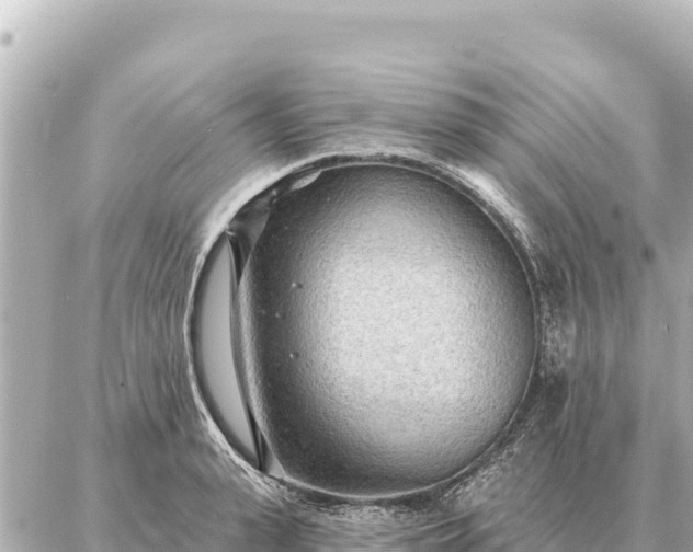 X0000086980943200704231816