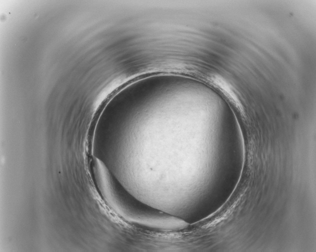 X0000086980944200704231816