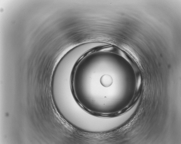 X0000086980948200704231816