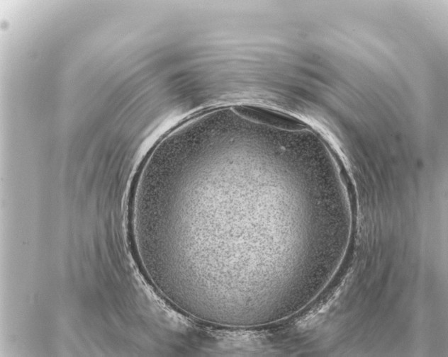 X0000086980949200704231816