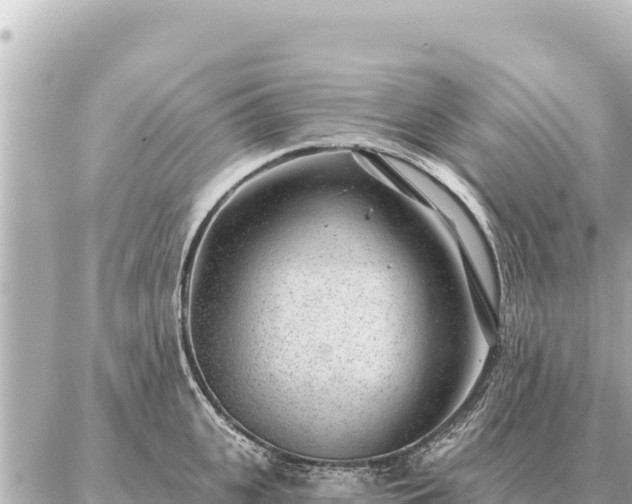 X0000086980951200704231816