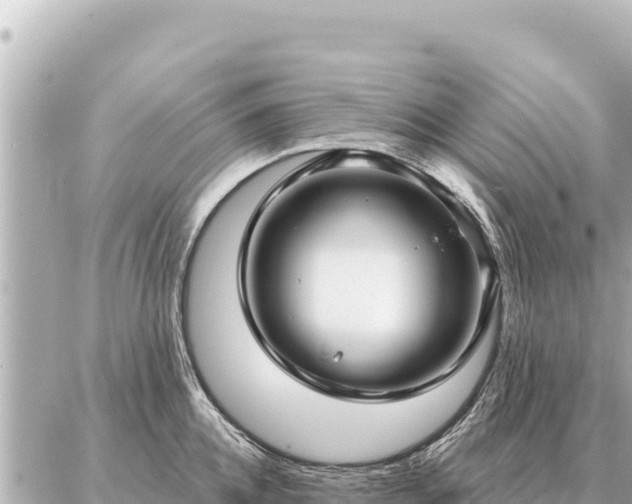 X0000086980952200704231816