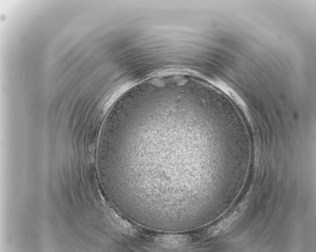 X0000086980953200704231816