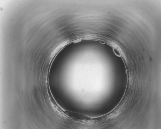 X0000086980954200704231816