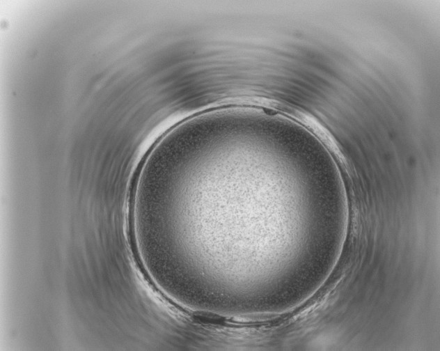 X0000086980955200704231816