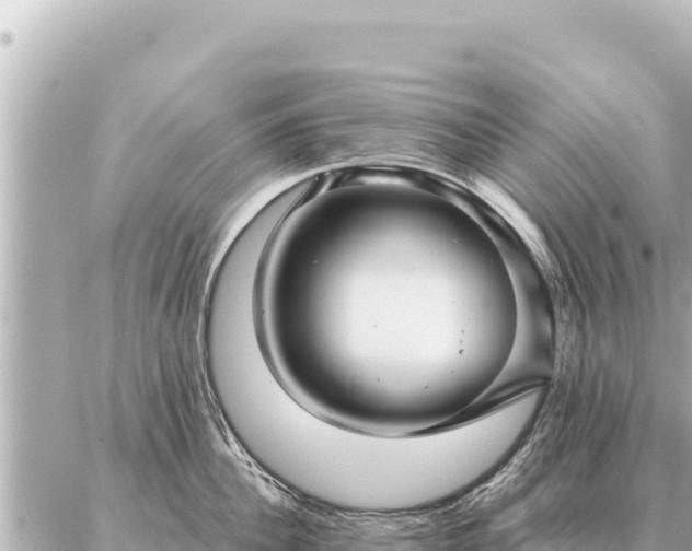 X0000086980956200704231816