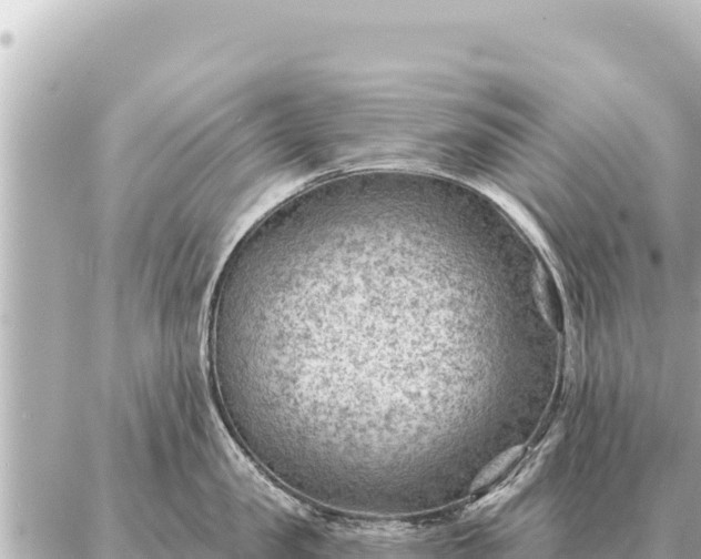 X0000086980957200704231816