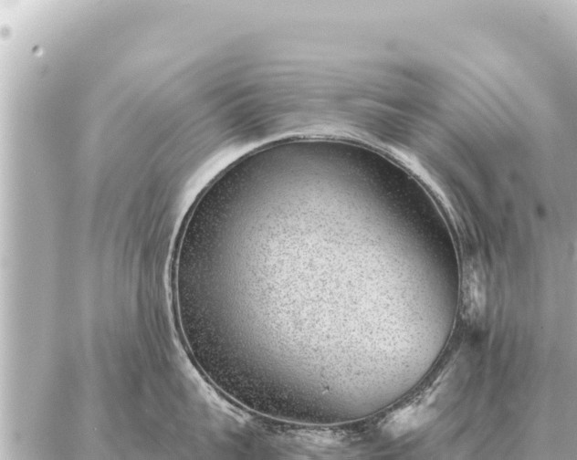 X0000086980959200704231816