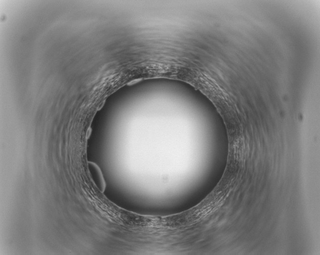 X0000086980961200704231815