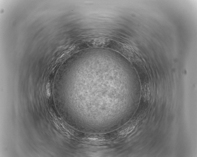 X0000086980962200704231815