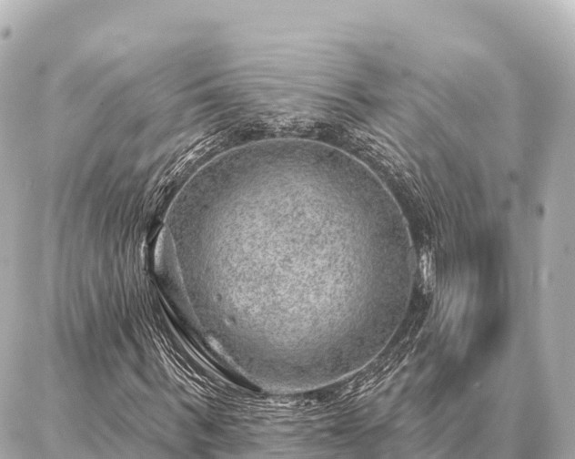 X0000086980963200704231815