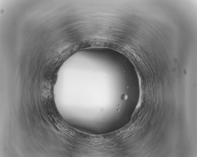 X0000086980964200704231815