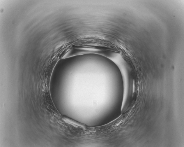 X0000086980965200704231815