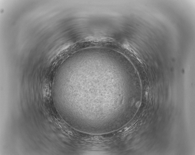 X0000086980966200704231815