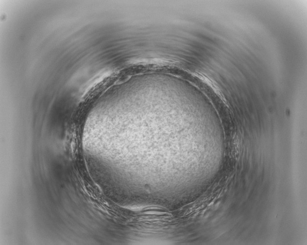 X0000086980967200704231815