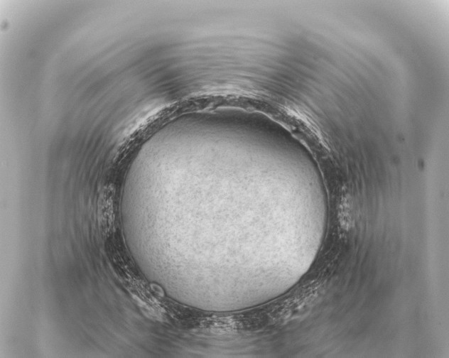 X0000086980968200704231815