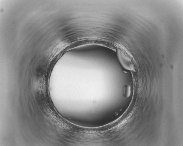 X0000086980969200704231815