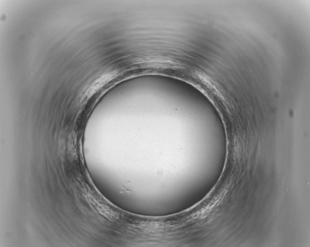 X0000086980970200704231815