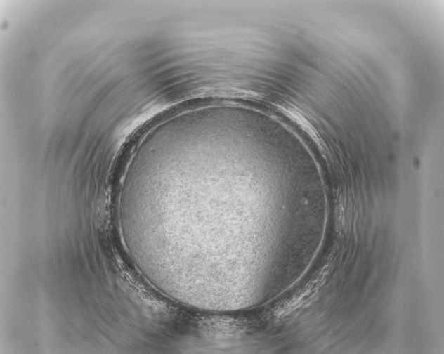 X0000086980971200704231815