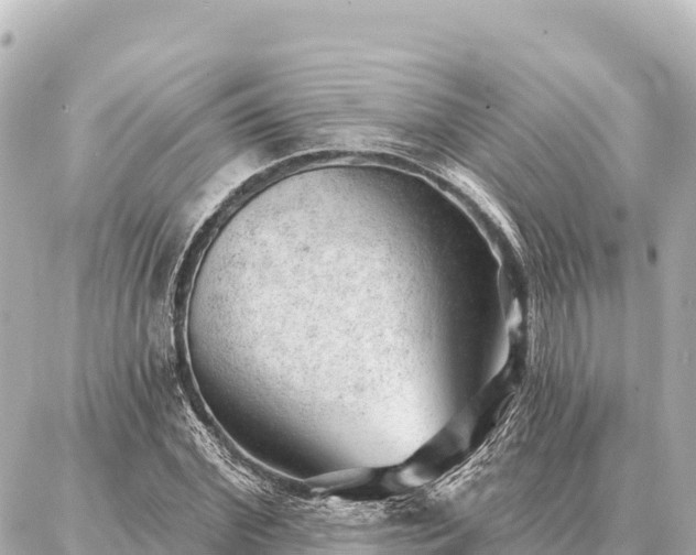 X0000086980972200704231815