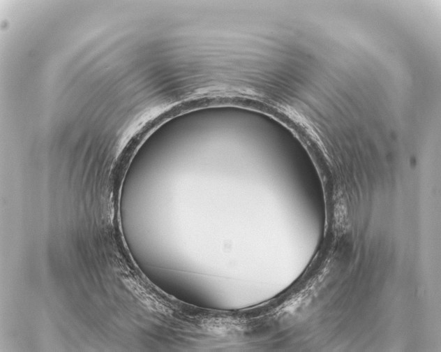 X0000086980973200704231815