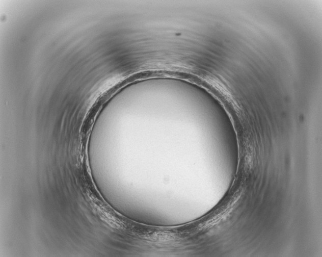 X0000086980974200704231815