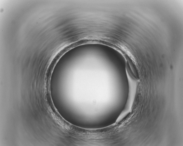 X0000086980976200704231815