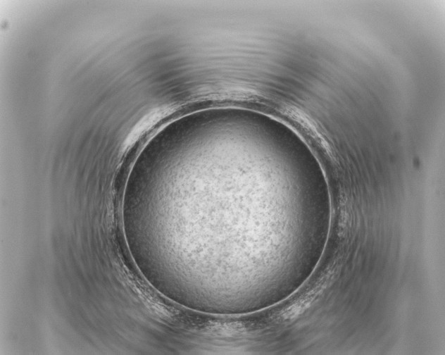 X0000086980978200704231815