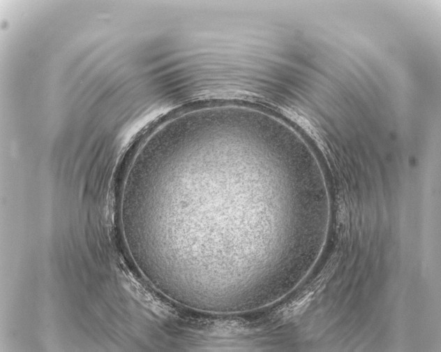 X0000086980979200704231815