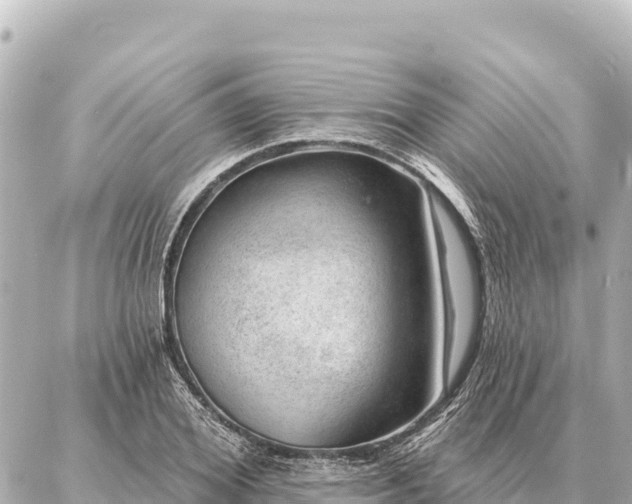 X0000086980980200704231815